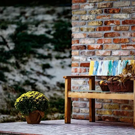 Gasthof Borarium Vendeghazak - Zenit Haz Pazmand