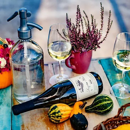 Borarium Vendeghazak - Zenit Haz 3* Pazmand