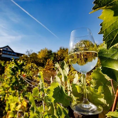 Gasthof Borarium Vendeghazak - Zenit Haz 3*