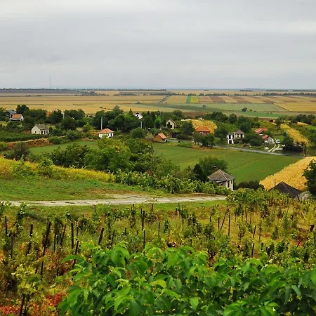 Borarium Vendeghazak - Zenit Haz Gasthof Pazmand